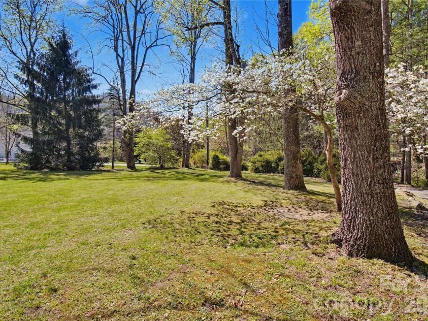 51 Hawks Landing, Weaverville, NC 28787.  MLS# CAR4366458, YatesRealty ID 10679. Front yard view
