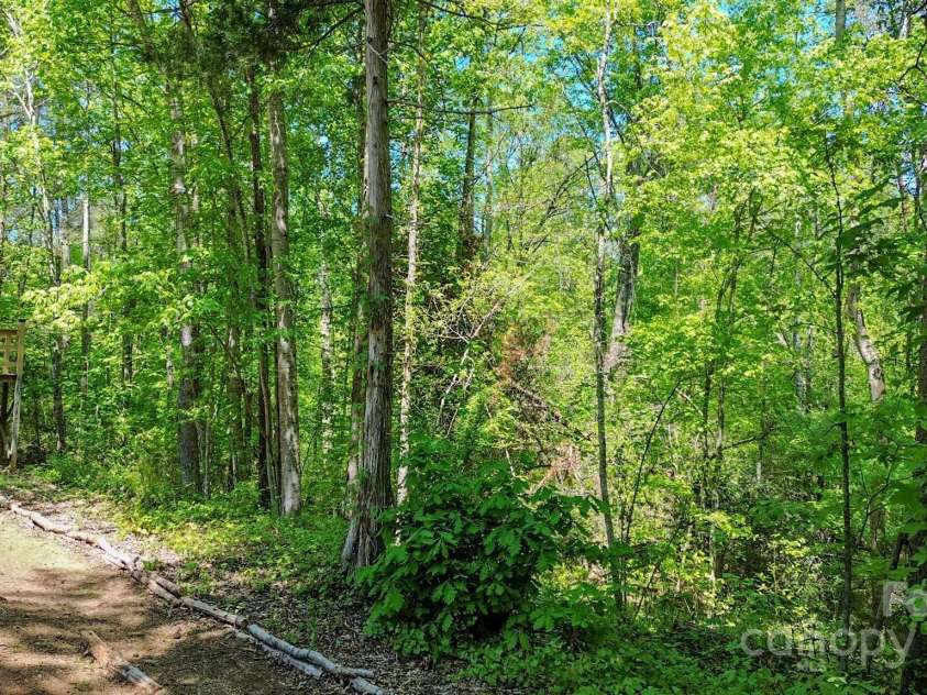 164 Forest Ridge Drive, Rutherfordton, NC 28139.  MLS# CAR4252885, YatesRealty ID 10687. 