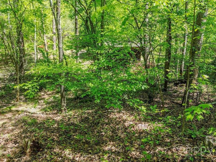 164 Forest Ridge Drive, Rutherfordton, NC 28139.  MLS# CAR4252885, YatesRealty ID 10687. 