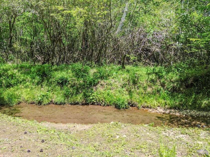 164 Forest Ridge Drive, Rutherfordton, NC 28139.  MLS# CAR4252885, YatesRealty ID 10687. 