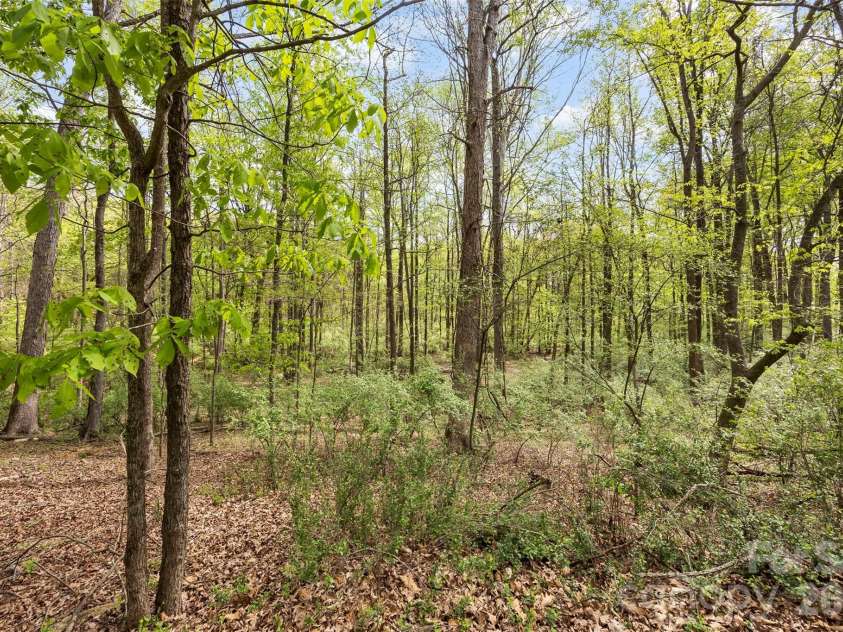 10601 Wildlife Road, Charlotte, NC 28278.  MLS# CAR4367494, YatesRealty ID 10731. 