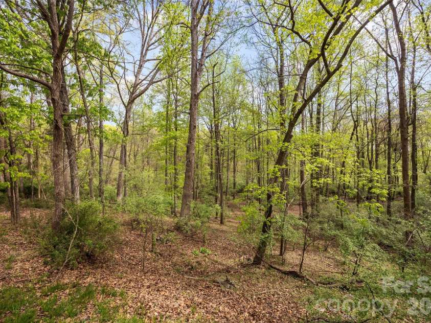 10601 Wildlife Road, Charlotte, NC 28278.  MLS# CAR4367494, YatesRealty ID 10731. 