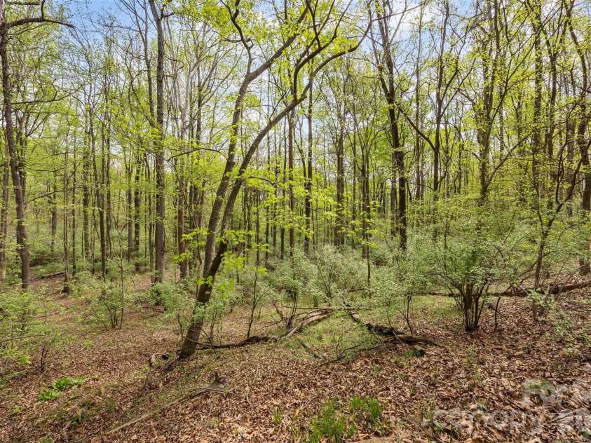 10601 Wildlife Road, Charlotte, NC 28278.  MLS# CAR4367494, YatesRealty ID 10731. 
