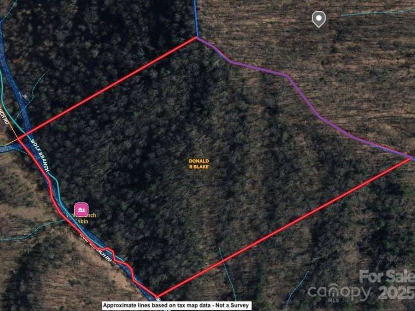 1080 Wolf Branch Road, Marshall, NC 28753.  MLS# CAR4233203, YatesRealty ID 10767. GIS Map - Not a Survey.