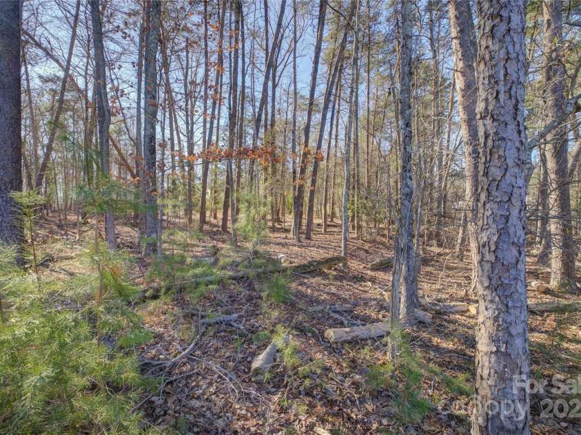 17627 Caddy Court, Charlotte, NC 28278.  MLS# CAR4209219, YatesRealty ID 10773. 