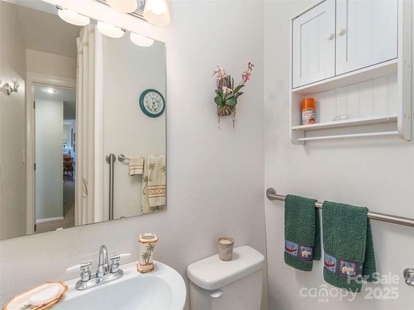 21 Flint Lane, Maggie Valley, NC 28751.  MLS# CAR4181508, YatesRealty ID 10824. Outside Entrance Lower Level Guest Bathroom