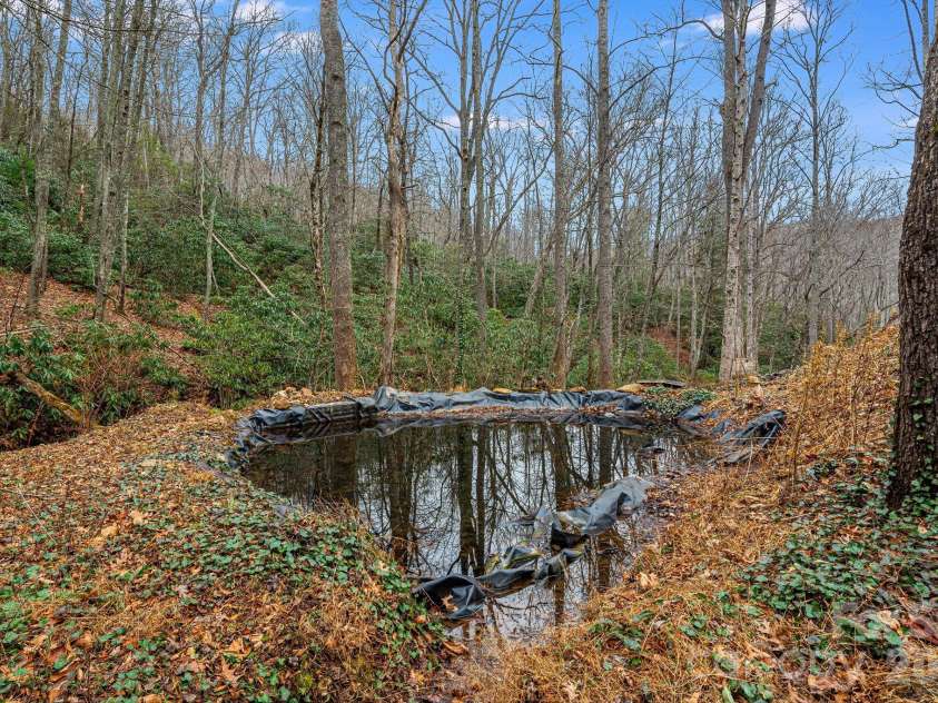 55 Heavenly Lane, Fairview, NC 28730.  MLS# CAR4341248, YatesRealty ID 10885. Natural spring and pond