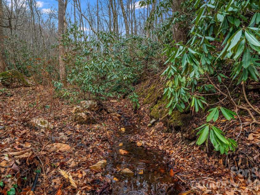 55 Heavenly Lane, Fairview, NC 28730.  MLS# CAR4341248, YatesRealty ID 10885. Spring