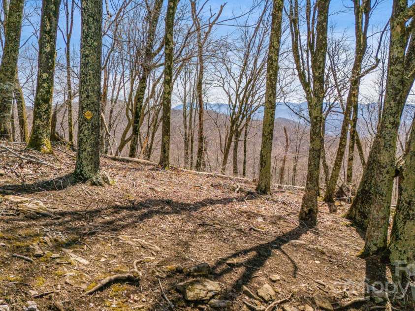 129 Finney Lane, Mars Hill, NC 28754.  MLS# CAR4243744, YatesRealty ID 10915. Level building lot for your future plans is included in the sale.