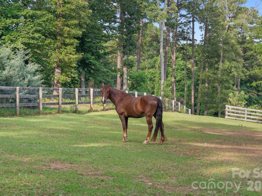 9870 Harvest Lane, Davidson, NC 28036.  MLS# CAR4385994, YatesRealty ID 10989. Horses not included! :)