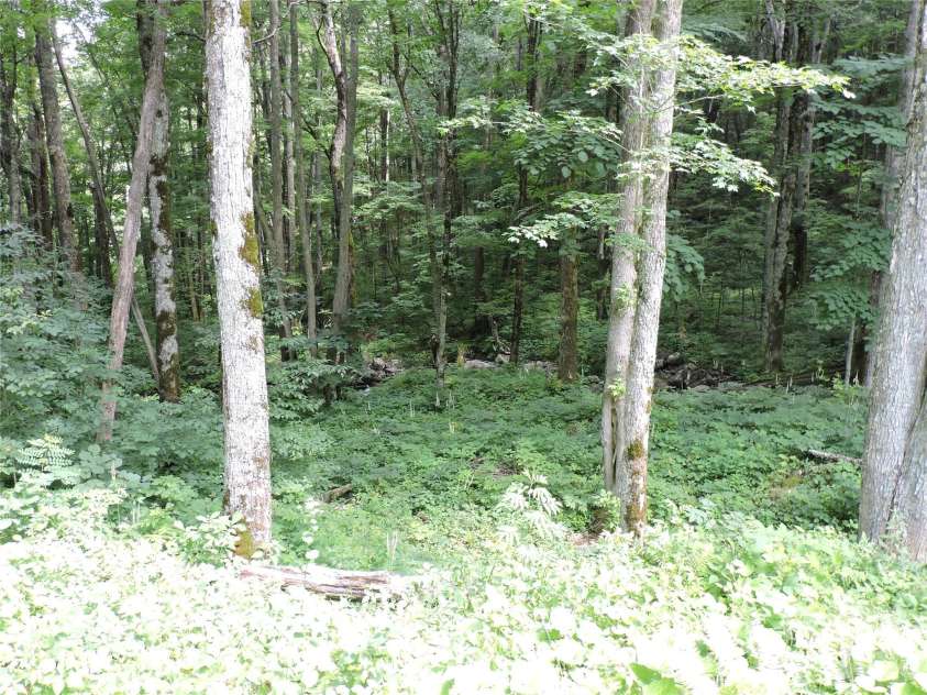 103 Chucks Lane, Bakersville, NC 28705.  MLS# CAR4364446, YatesRealty ID 11028. 