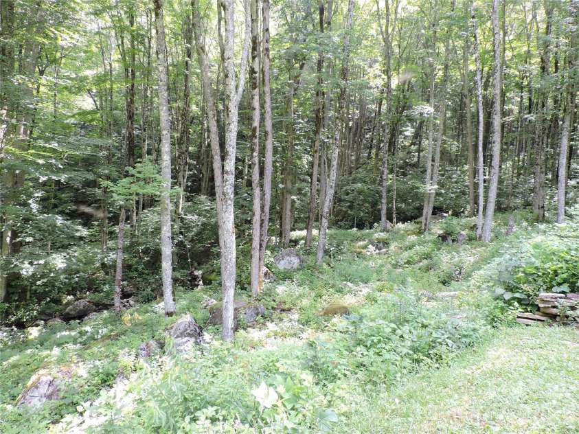 103 Chucks Lane, Bakersville, NC 28705.  MLS# CAR4364446, YatesRealty ID 11028. 