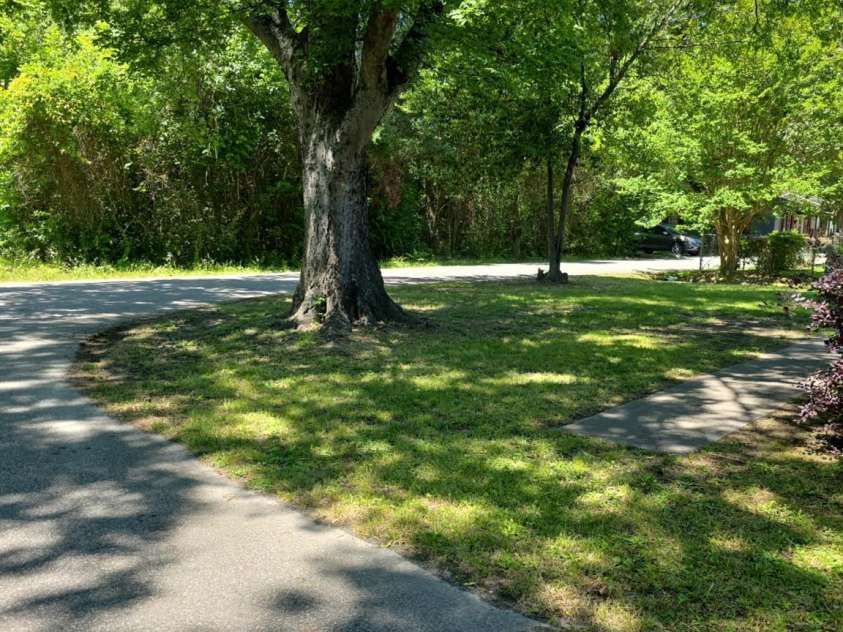 836 Ayers Street, Cheraw, SC 29520.  MLS# CAR4255668, YatesRealty ID 11030. Lovely front yard shade tree