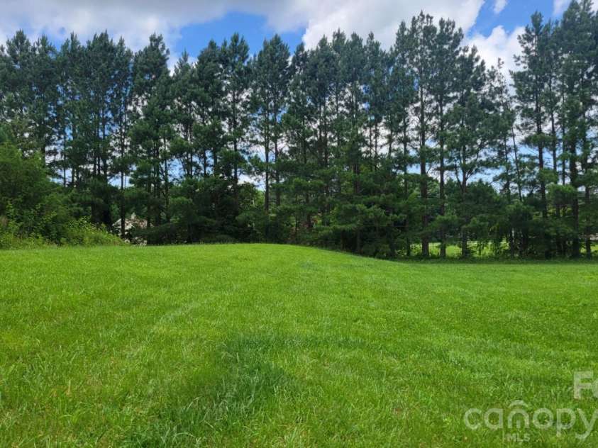 1672 Riverview Road, Lincolnton, NC 28092.  MLS# CAR4271400, YatesRealty ID 11056. Back yard behind house