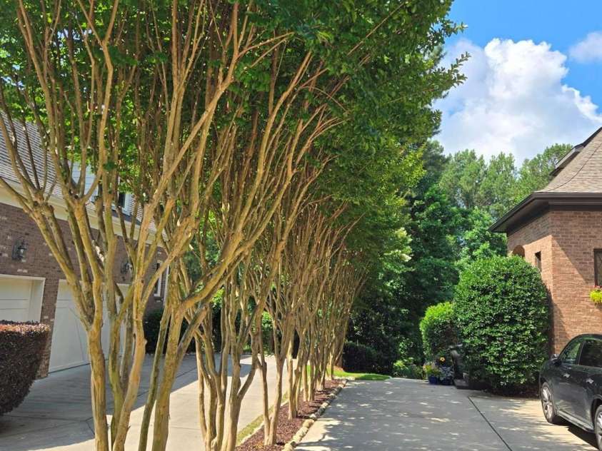 16824 Ashton Oaks Drive, Charlotte, NC 28278.  MLS# CAR4221737, YatesRealty ID 1110. 