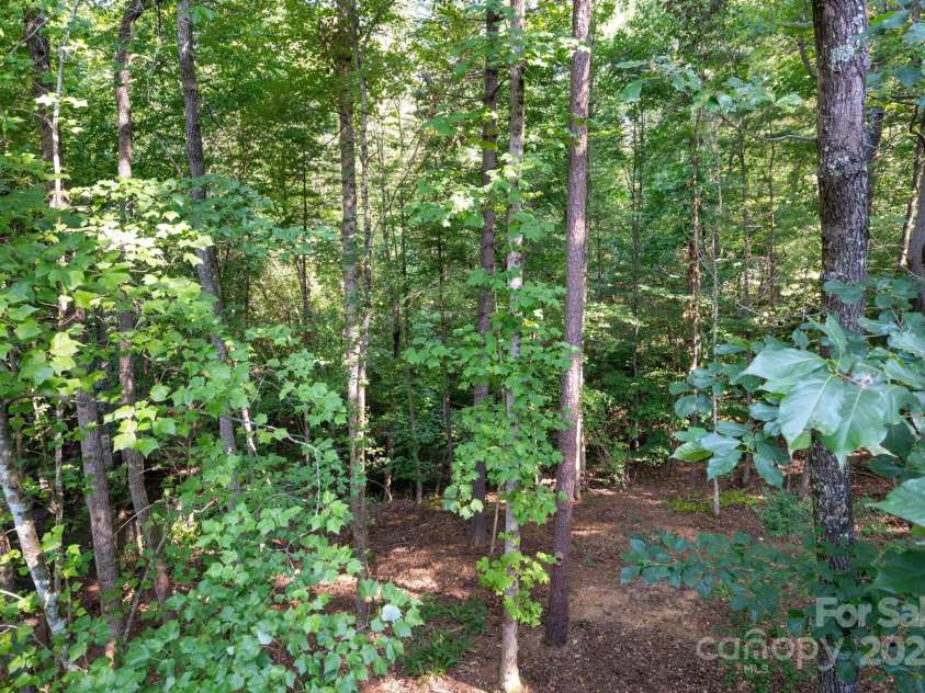 6 LaRue Court, Biltmore Lake, NC 28715.  MLS# CAR4176289, YatesRealty ID 11123. View from porch with creek below