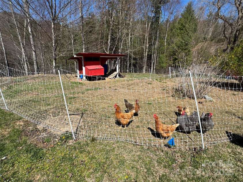 3719 Upper Shut In Road, Hot Springs, NC 28743.  MLS# CAR4241406, YatesRealty ID 11175. 