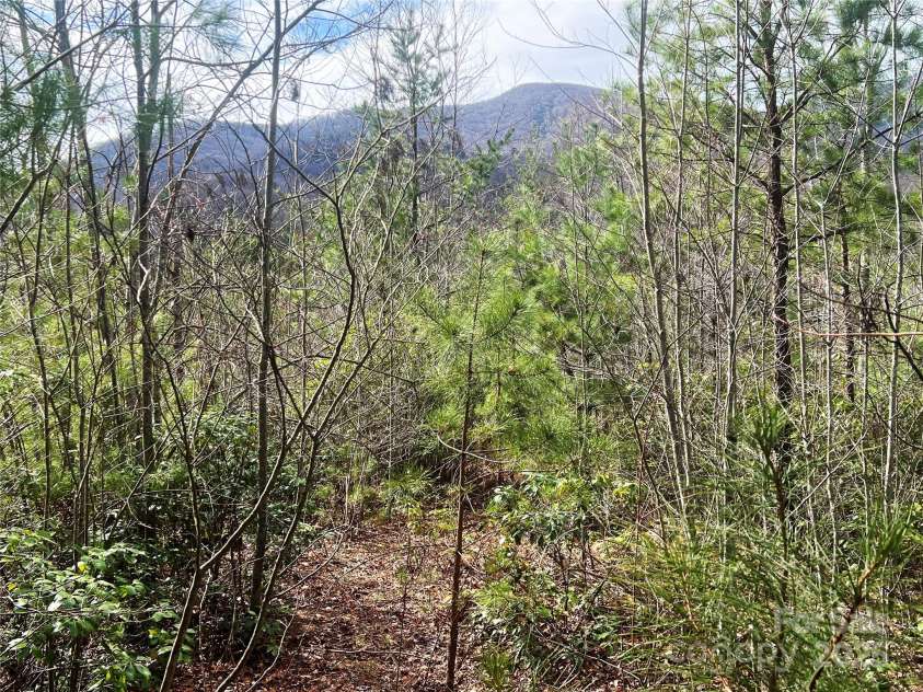 3719 Upper Shut In Road, Hot Springs, NC 28743.  MLS# CAR4241406, YatesRealty ID 11175. 