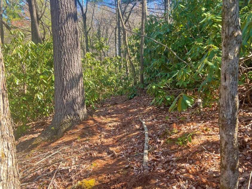 3719 Upper Shut In Road, Hot Springs, NC 28743.  MLS# CAR4241406, YatesRealty ID 11175. 