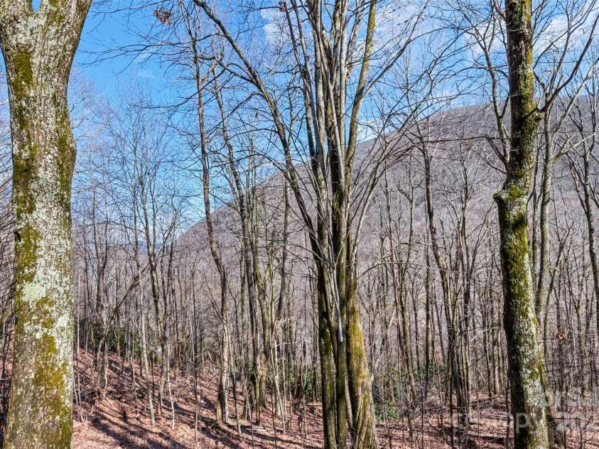 228 Mountain Laurel Road, Maggie Valley, NC 28751.  MLS# CAR4221935, YatesRealty ID 11186. 