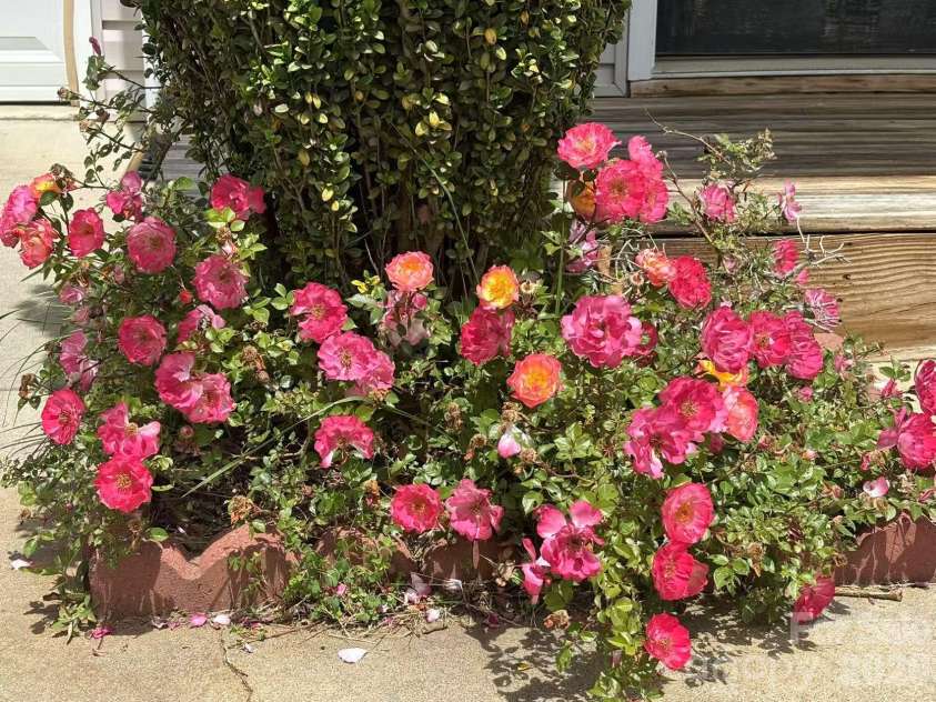 149 Alpine Ridge Drive, Asheville, NC 28803.  MLS# CAR4362702, YatesRealty ID 11214. Front flowers
