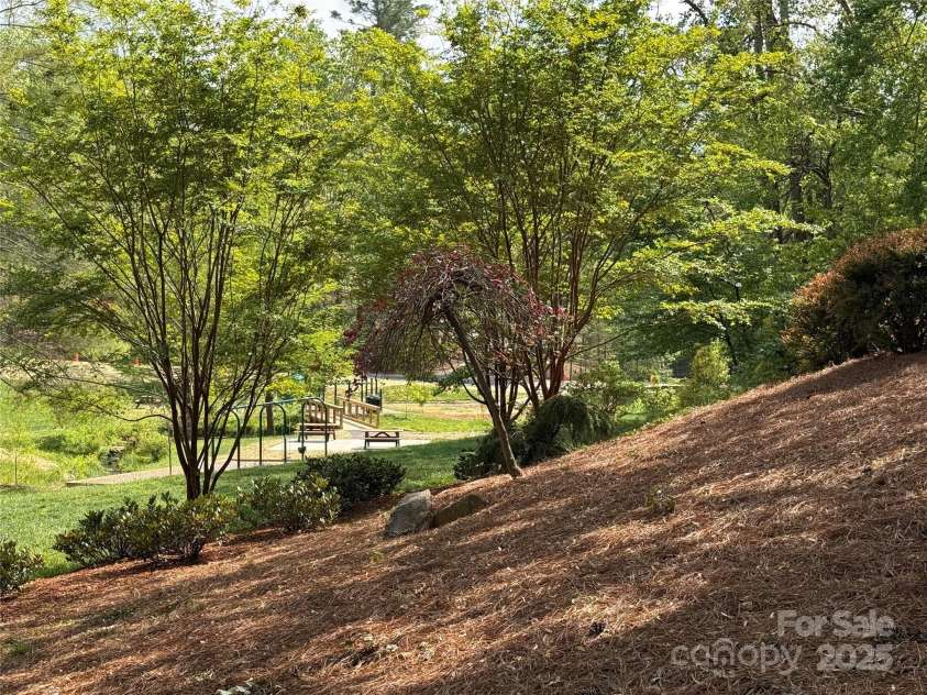 115 Stuyvesant Road, Asheville, NC 28803.  MLS# CAR4254634, YatesRealty ID 11253. View towards park.