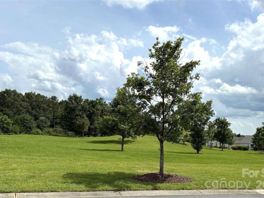 31470 Royal Tern Lane, Indian Land, SC 29707.  MLS# CAR4254598, YatesRealty ID 11317. Another view from the front door.