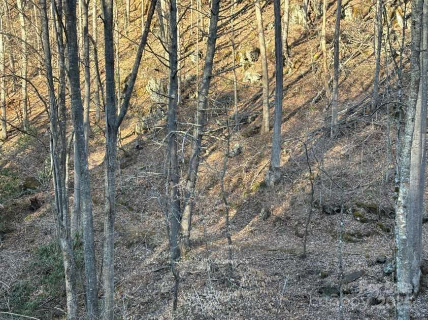 324 Marble Mine Road, Bakersville, NC 28705.  MLS# CAR4237907, YatesRealty ID 11321. 