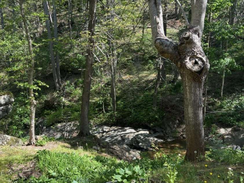 324 Marble Mine Road, Bakersville, NC 28705.  MLS# CAR4237907, YatesRealty ID 11321. 