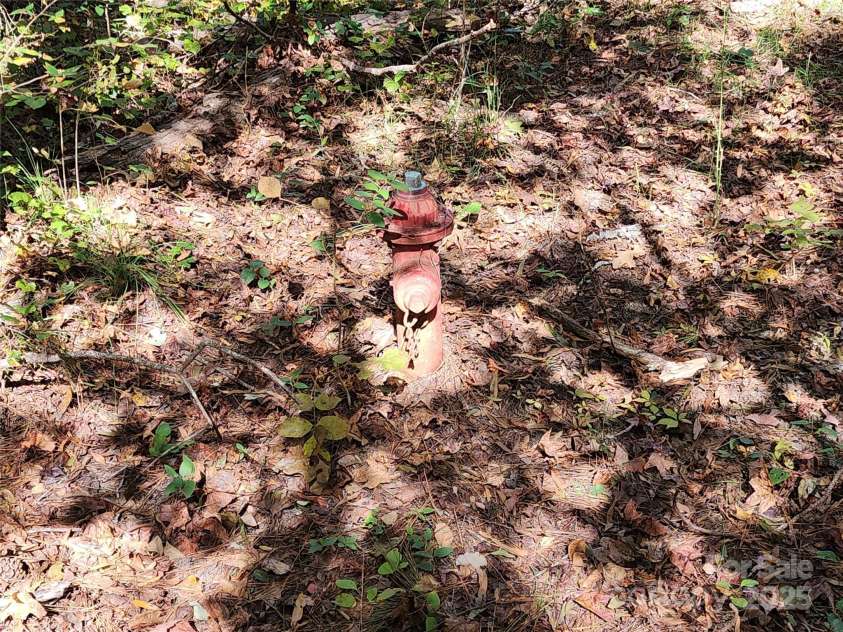 1216 Stallion Lane, Lancaster, SC 29720.  MLS# CAR4193777, YatesRealty ID 11343. 