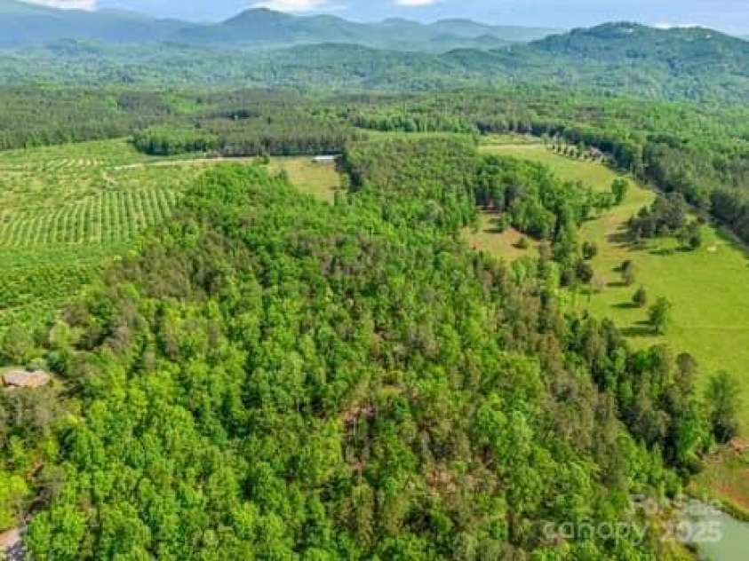 323 Acorn Lane, Rutherfordton, NC 28139.  MLS# CAR4254615, YatesRealty ID 11355. 