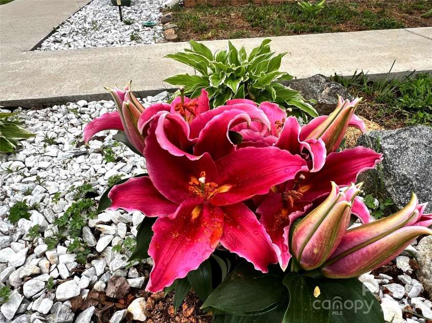 2170 Watson Road, Lenoir, NC 28645.  MLS# CAR4253929, YatesRealty ID 11381. 