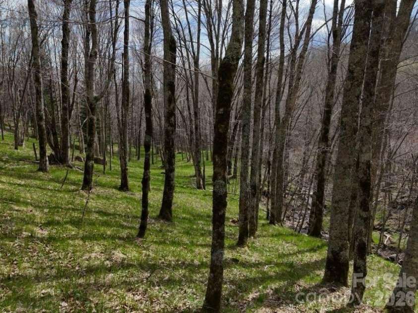 155 Mule Trail Drive, Bakersville, NC 28705.  MLS# CAR4354297, YatesRealty ID 11397. 
