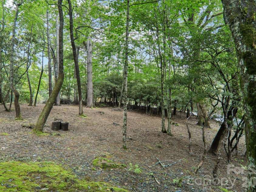 19 High Terrain Drive, Burnsville, NC 28714.  MLS# CAR4292029, YatesRealty ID 11472. 