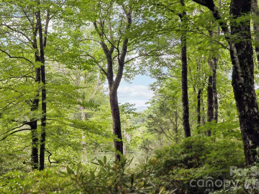 19 High Terrain Drive, Burnsville, NC 28714.  MLS# CAR4292029, YatesRealty ID 11472. 