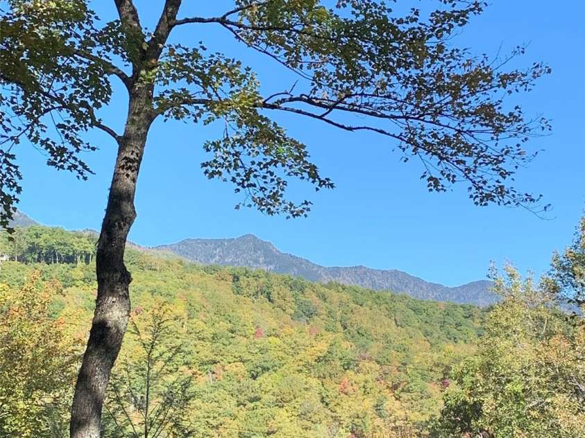 19 High Terrain Drive, Burnsville, NC 28714.  MLS# CAR4292029, YatesRealty ID 11472. 