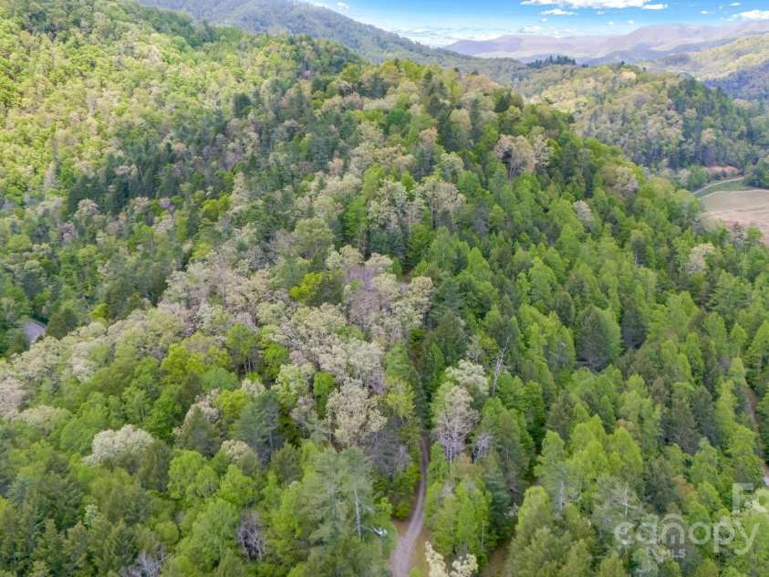 16 Caddis Court, Marshall, NC 28753.  MLS# CAR4252395, YatesRealty ID 11501. 