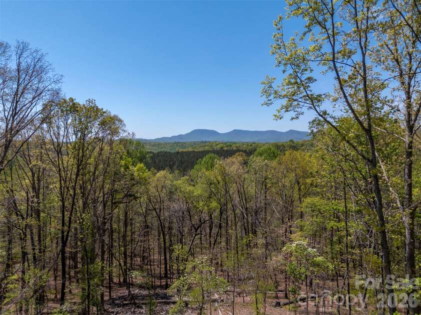2825 River Road, Columbus, NC 28722.  MLS# CAR4368569, YatesRealty ID 11513. 