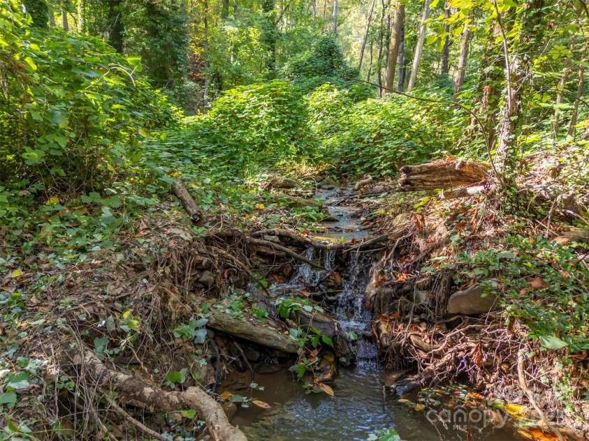 160 Lasae Lane, Tryon, NC 28782.  MLS# CAR4308669, YatesRealty ID 11520. Creek/Waterfall