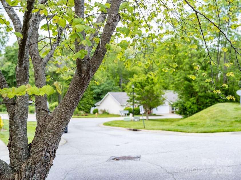 41 Lanceford Circle, Fletcher, NC 28732.  MLS# CAR4252559, YatesRealty ID 11531. Views of green from the front porch