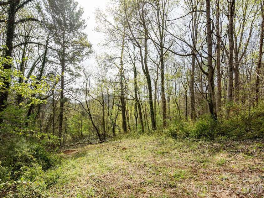 91 Rice Branch Road, Asheville, NC 28804.  MLS# CAR4366116, YatesRealty ID 11544. 