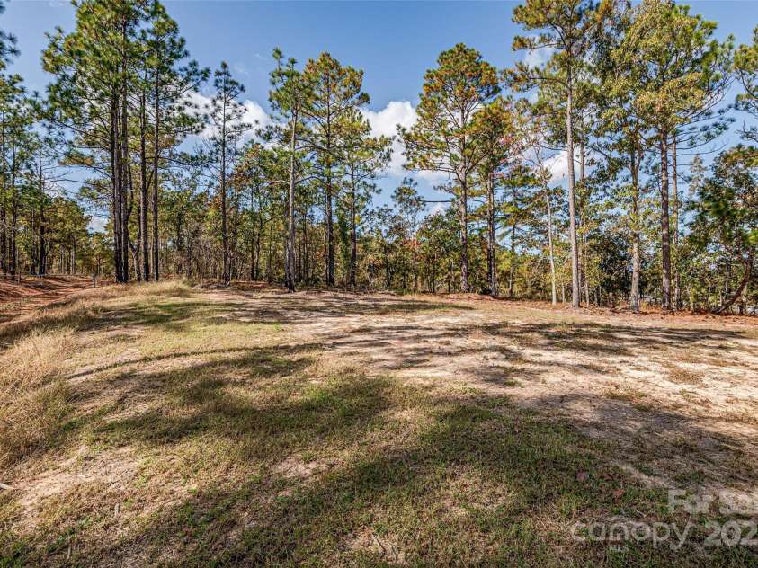 8684 Teals Mill Road, Cheraw, SC 29520.  MLS# CAR4195030, YatesRealty ID 11568. Beautiful back yard