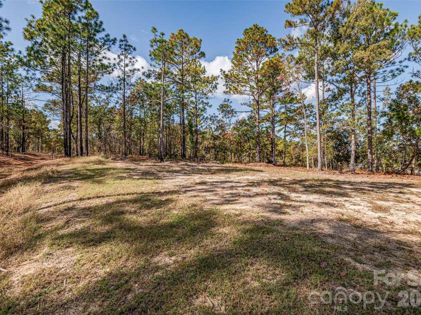 8684 Teals Mill Road, Cheraw, SC 29520.  MLS# CAR4195030, YatesRealty ID 11568. Beautiful back yard