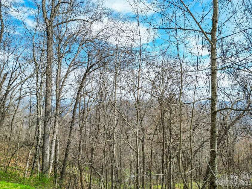 580 Freemont Drive, Leicester, NC 28748.  MLS# CAR4057787, YatesRealty ID 1157. 