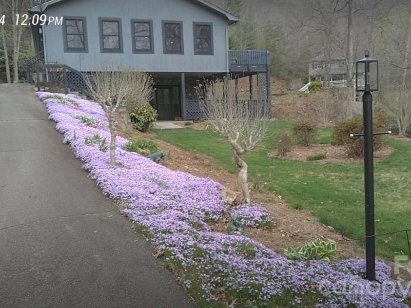 17 Twisted Trail, Black Mountain, NC 28711.  MLS# CAR4364900, YatesRealty ID 11581. Beautiful landscaping!