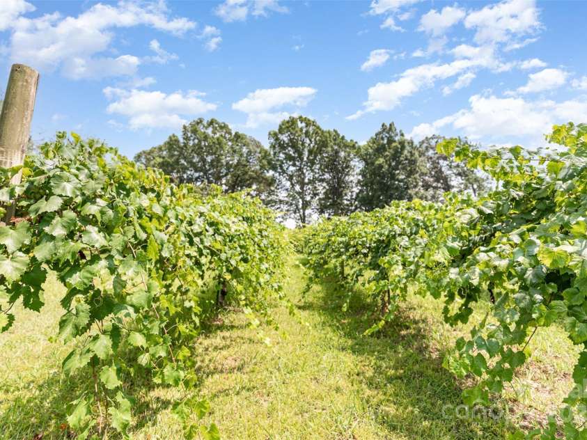 9825 Hagers Road, Huntersville, NC 28078.  MLS# CAR4290223, YatesRealty ID 1160. 