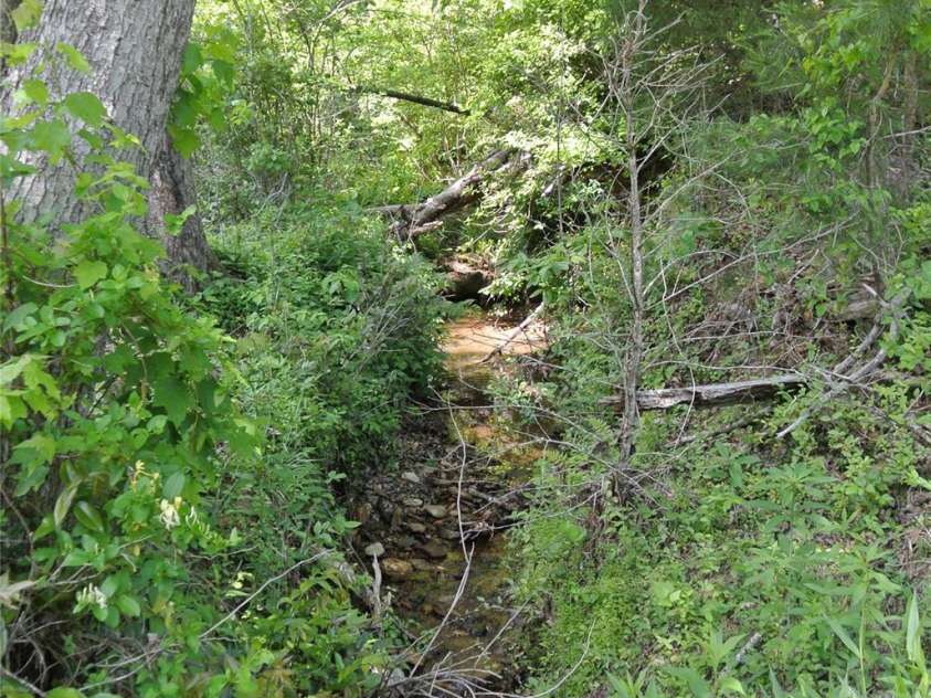 282 Chase Lane, Rutherfordton, NC 28139.  MLS# CAR4256745, YatesRealty ID 11610. 