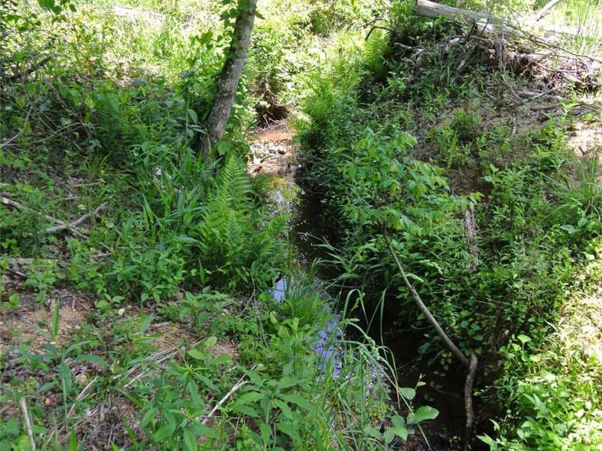 282 Chase Lane, Rutherfordton, NC 28139.  MLS# CAR4256745, YatesRealty ID 11610. 