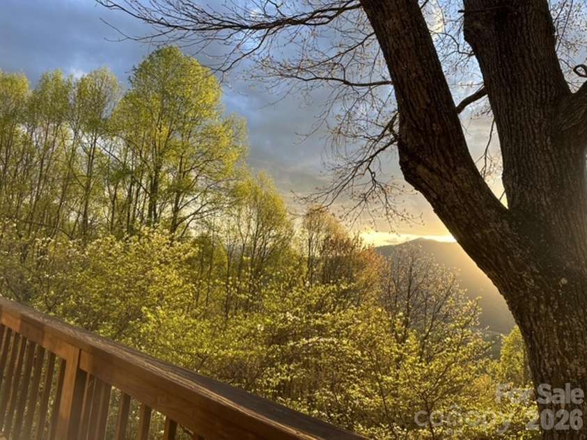 415 Treetop Lane, Waynesville, NC 28785.  MLS# CAR4360054, YatesRealty ID 11615. 