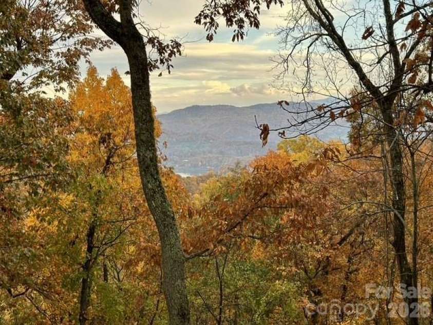 415 Treetop Lane, Waynesville, NC 28785.  MLS# CAR4360054, YatesRealty ID 11615. 